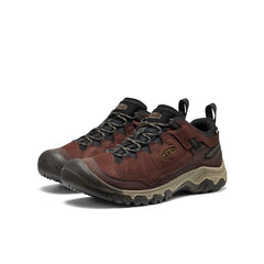 Men's Targhee IV Waterproof Hiking Shoe | Java/Bison